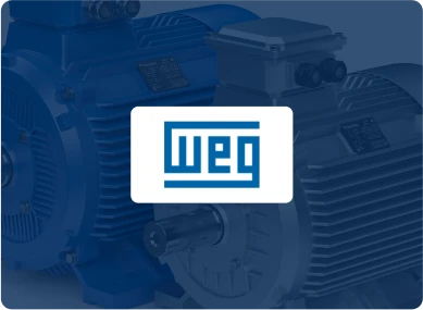 2019 A 2023 – WEG S.A